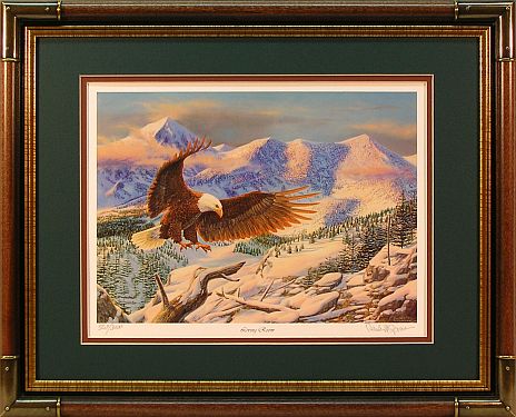 Framed Living Room Bald Eagle