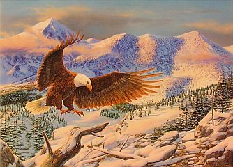 Living Room Bald Eagle Artwork